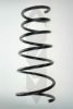 SPIDAN 55253 Coil Spring